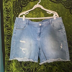 Lane Bryant Jean Shorts